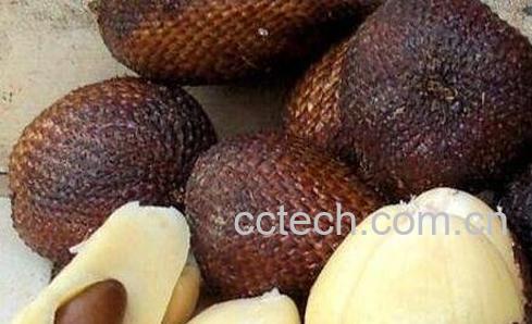 蛇皮果怎么吃-0