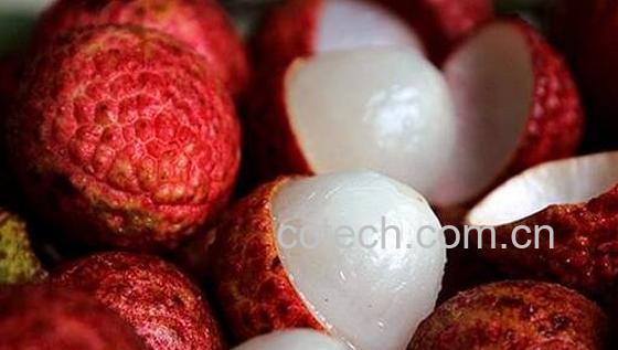 吃荔枝的好处与坏处-0