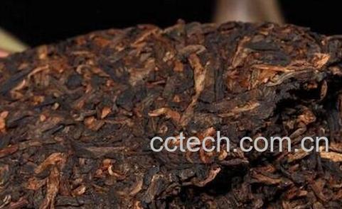 普洱生茶与熟茶的区别-0