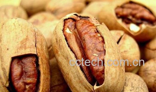 碧根果的营养价值与功效-0