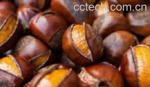 糖炒栗子的做法与功效-0