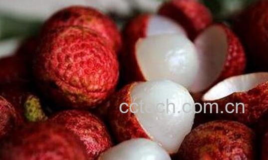 荔枝的营养价值与功效-0