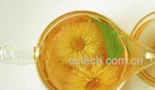 果蔬百科孕妇能喝菊花茶吗-0