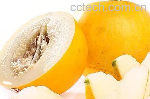 伊丽莎白瓜的功效与作用-0