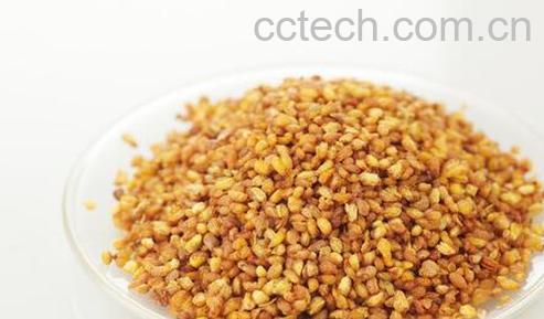 果蔬百科苦荞茶能吃吗-0