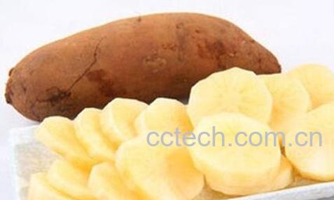 雪莲果的副作用-0