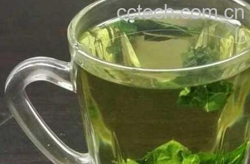 果蔬百科桑叶茶的功效与作用-0