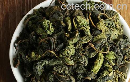 果蔬百科喝桑叶茶的注意事项与禁忌-0