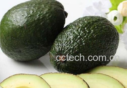 鳄梨是什么 -0