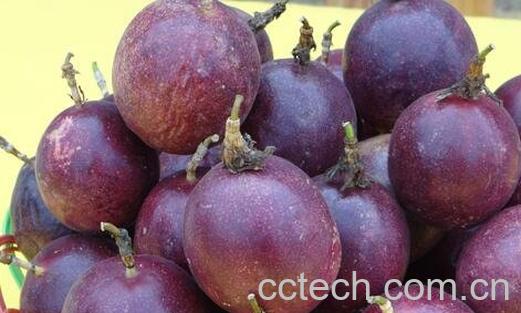 吃百香果有什么好处-0