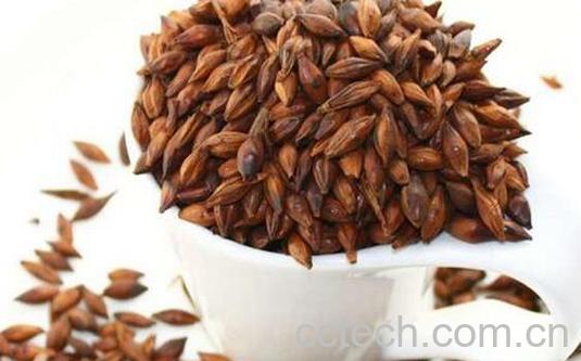 果蔬百科大麦茶会致癌吗 -0