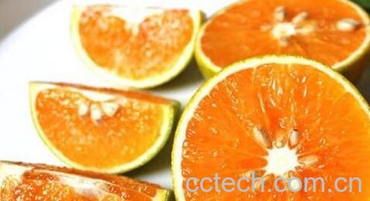  绿橙怎么挑选 挑选绿橙的方法-0