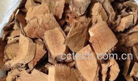 枇杷根的功效与作用-0