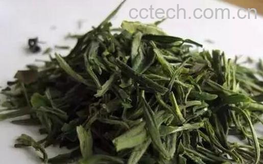 果蔬百科雁荡毛峰的泡法与功效-0