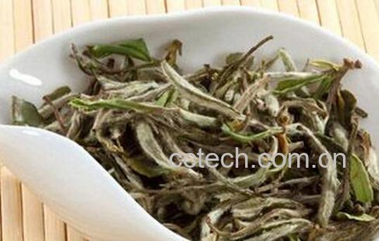 果蔬百科白牡丹茶是绿茶吗-0