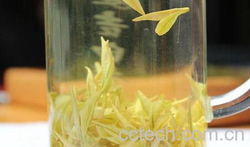 果蔬百科黄茶是什么茶-0