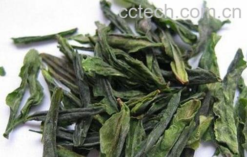 果蔬百科六安瓜片的保健功效有哪些-0