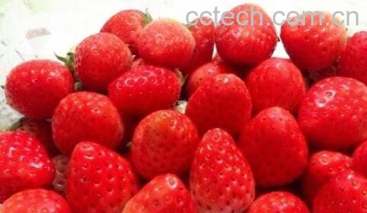 牛奶草莓的营养价值-0