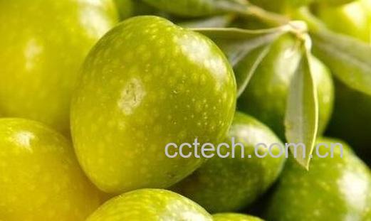 橄榄油可以美容吗-0