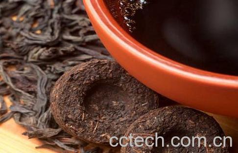 果蔬百科什么是茶醉-0