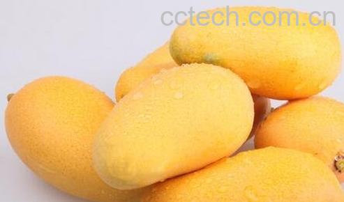 吃芒果会过敏吗 -0