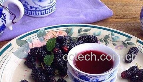 桑葚酒的泡制方法与功效-0