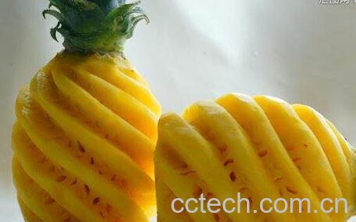 菠萝怎么保存 菠萝去皮以后怎么保存-0