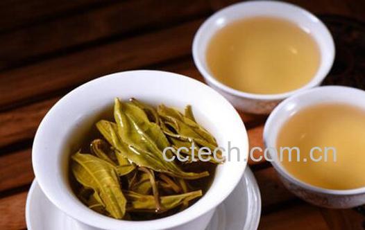 果蔬百科女性喝什么茶能美白-0