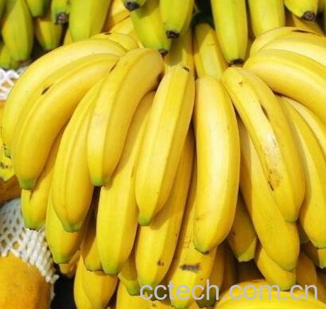  香蕉不能和什么一起吃-0