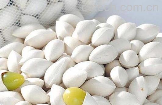 白果的副作用 白果中毒怎么办-0