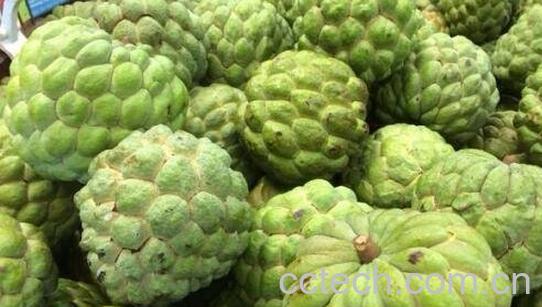 哪些水果热量高-0