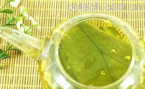 果蔬百科喝荷叶茶的好处有哪些-0