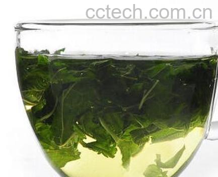 果蔬百科桑叶茶的泡法与功效-0