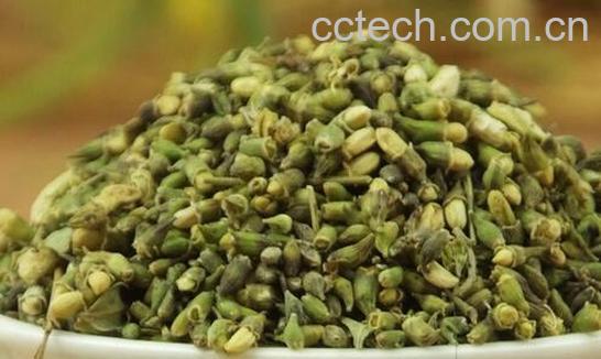 果蔬百科喝槐米茶的好处有哪些-0