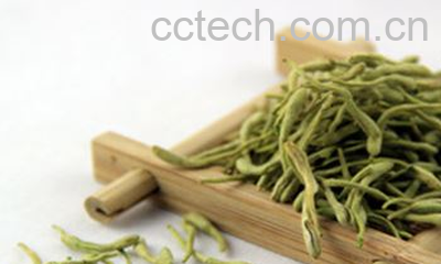 果蔬百科金银花泡水喝的功效与作用及害处-0