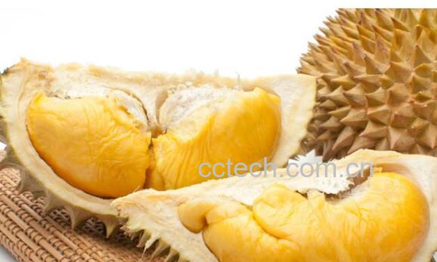 果蔬百科榴莲-0