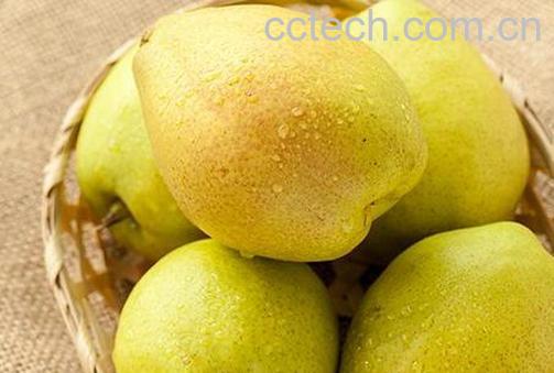 果蔬百科香梨的营养价值-0