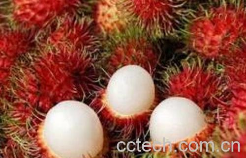 果蔬百科红毛丹的营养价值-0