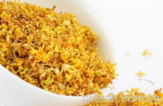 果蔬百科夏天喝什么茶去火-0