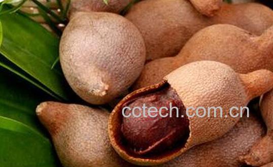 果蔬百科甜角的功效与作用-0