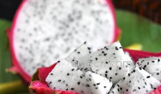 果蔬百科孕妇能吃火龙果吗-0