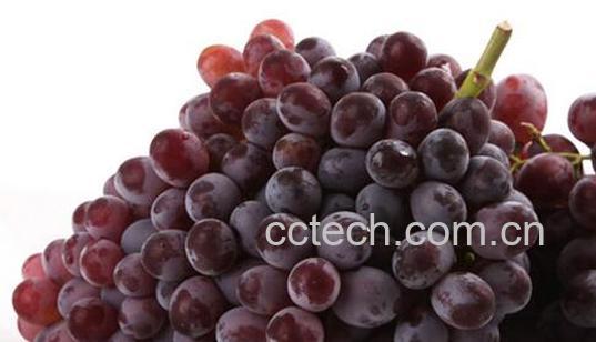 果蔬百科葡萄皮的功效与作用-0