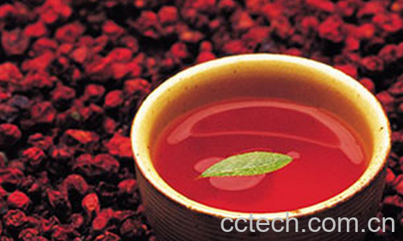 果蔬百科五味子茶的功效与作用-0