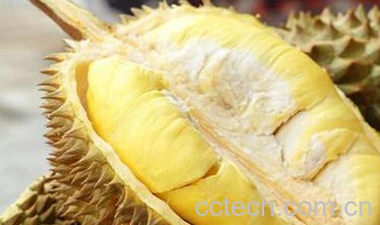 果蔬百科吃榴莲的禁忌-0