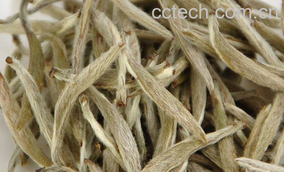 果蔬百科夏天喝白茶的好处有哪些-0