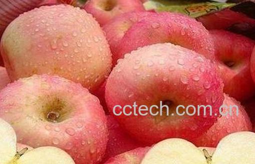 果蔬百科晚上吃苹果好吗 -0