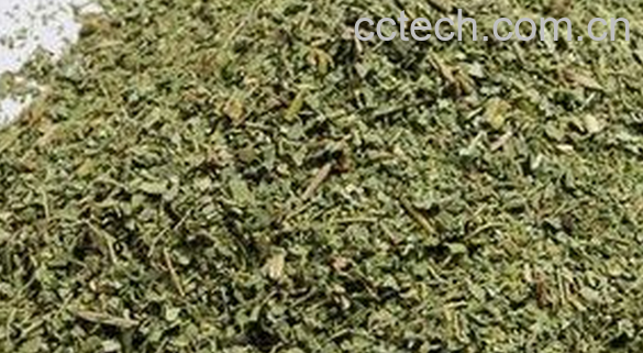 果蔬百科石榴叶茶的功效与作用-0