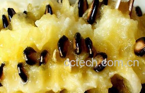 果蔬百科 籽瓜的功效与作用-0