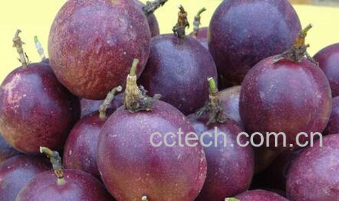 果蔬百科百香果的常见吃法-0