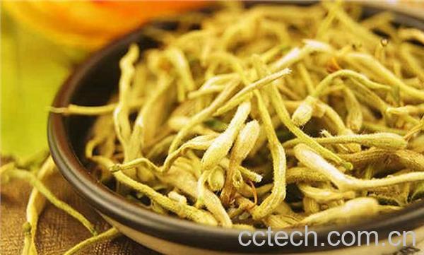 果蔬百科金银花茶的制作方法-0